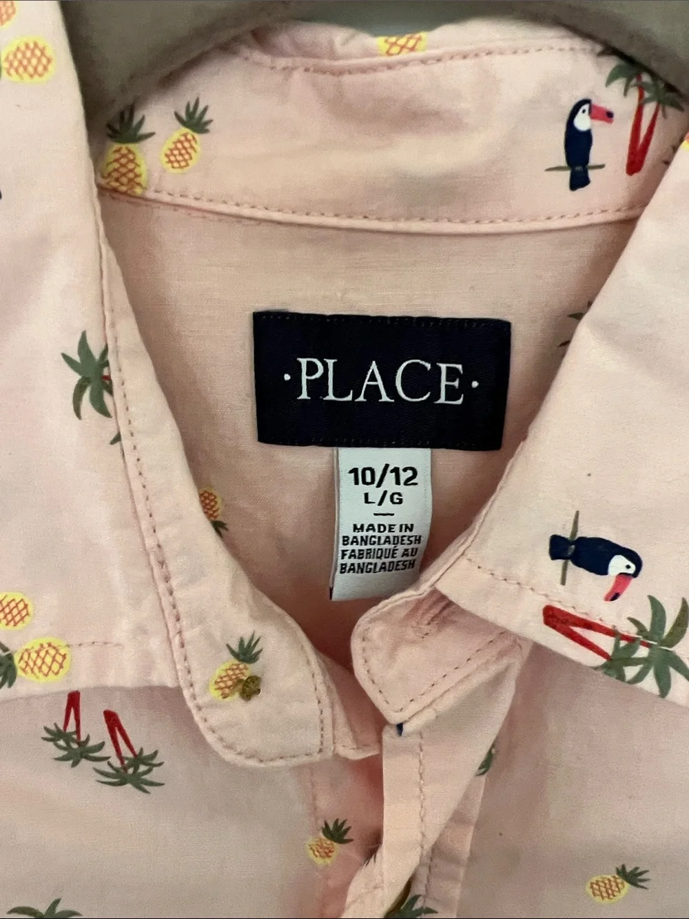 The Children's Place Light Pink Tropical Print Button-Front Shirt